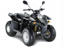 Квадроцикл STELS ATV 650 Guepard: премиум по цене бюджетника